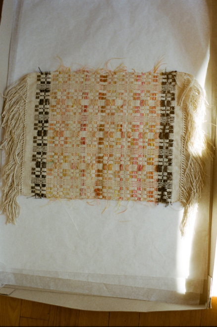 Annelie Bruijn | The Plant | Saskia | de | Brauw | 000000010010 1